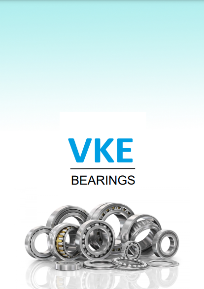BEARINGS VKE