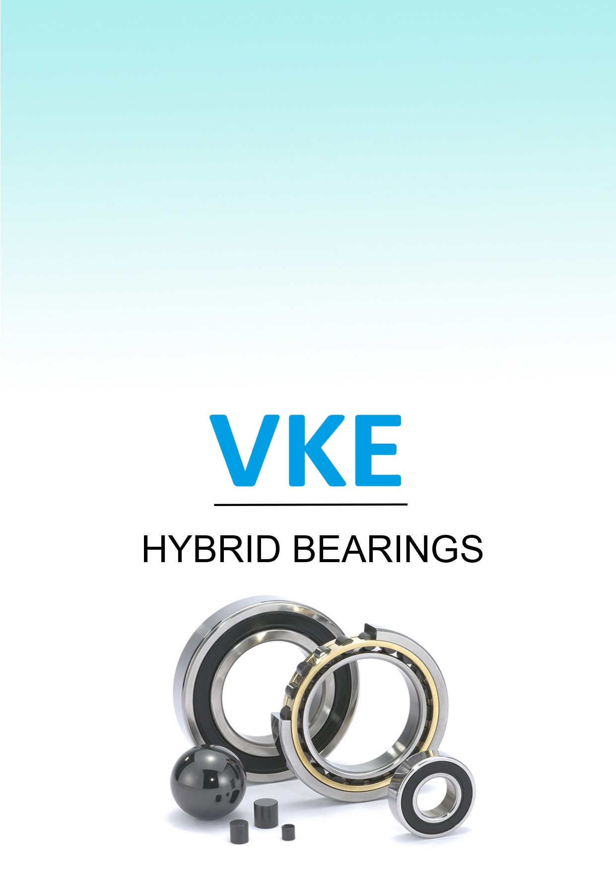 HYBRID BEARINGS VKE